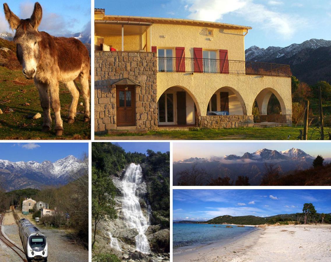 95m2 au calme à 25mn AJACCIO, plages, linge inclus Ucciani Exterior foto