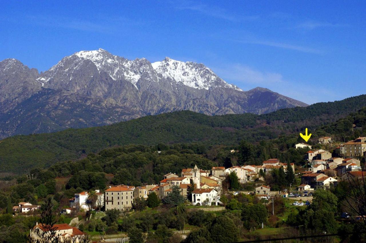 95m2 au calme à 25mn AJACCIO, plages, linge inclus Ucciani Exterior foto