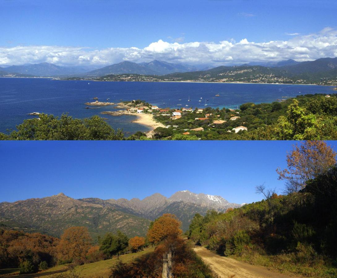95m2 au calme à 25mn AJACCIO, plages, linge inclus Ucciani Exterior foto